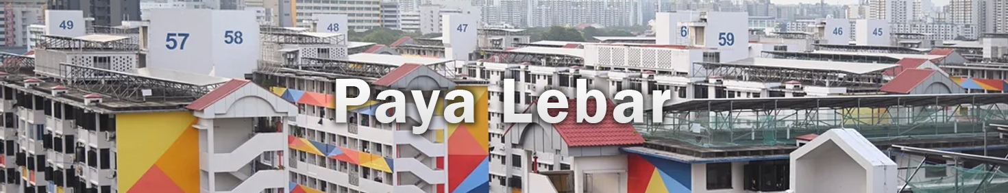 Water Heater Installation and Replacement and Repair Services at Paya Lebar