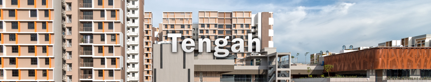 Water Heater Installation and Replacement and Repair Services in Tengah