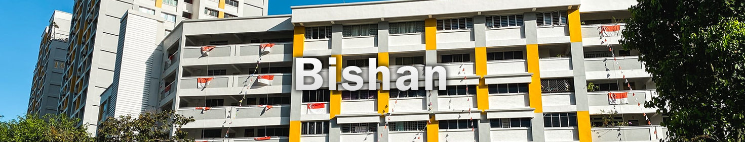 Water Heater Installation and Replacement and Repair Services in Bishan