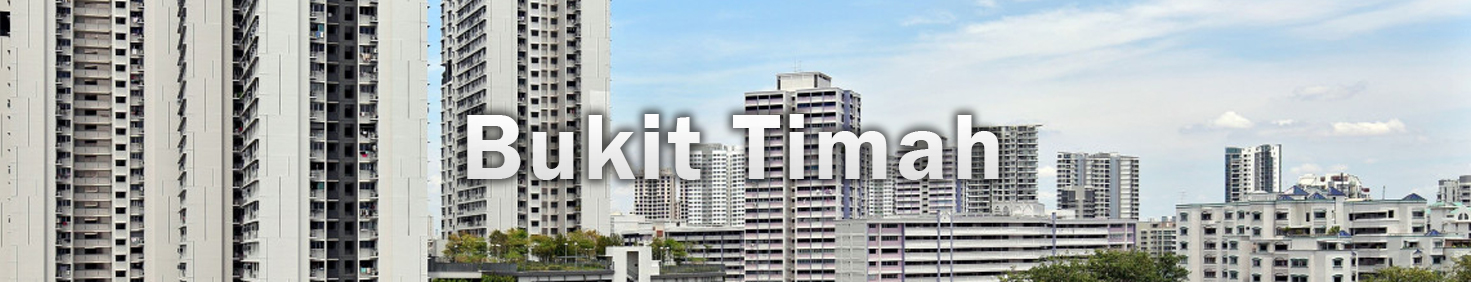 Water Heater Installation and Replacement and Repair Services at Bukit Timah