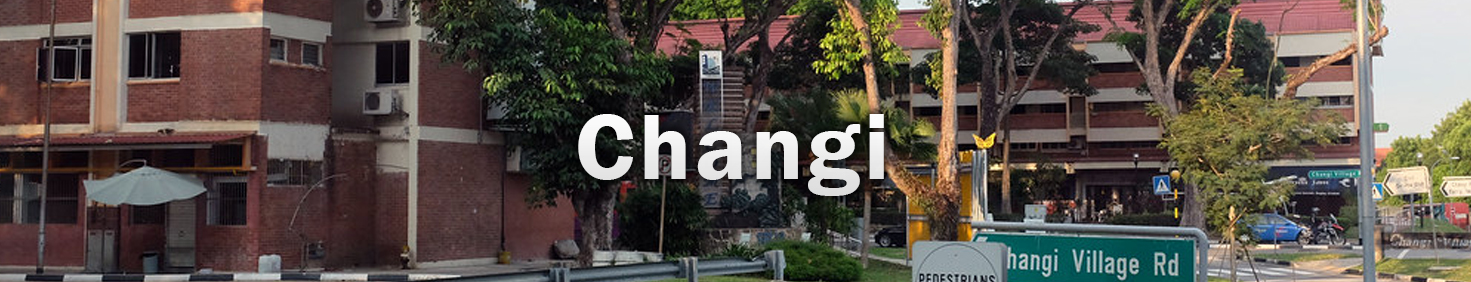 Water Heater Installation, Replacement and Repair Services in Changi