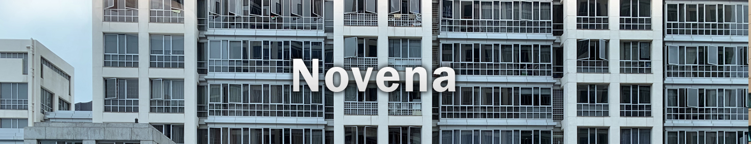 Water Heater Installation and Replacement and Repair Services in Novena