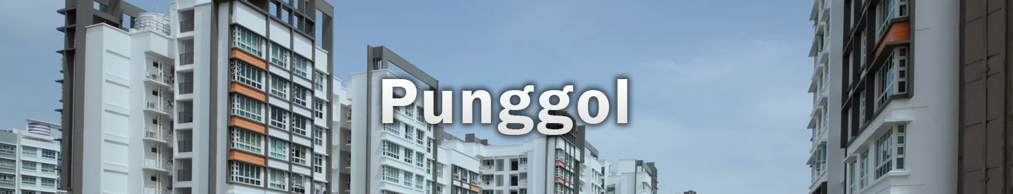 Water Heater Installation and Replacement and Repair Services at Punggol
