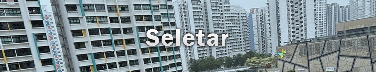 Water Heater Installation and Replacement and Repair Services in Seletar
