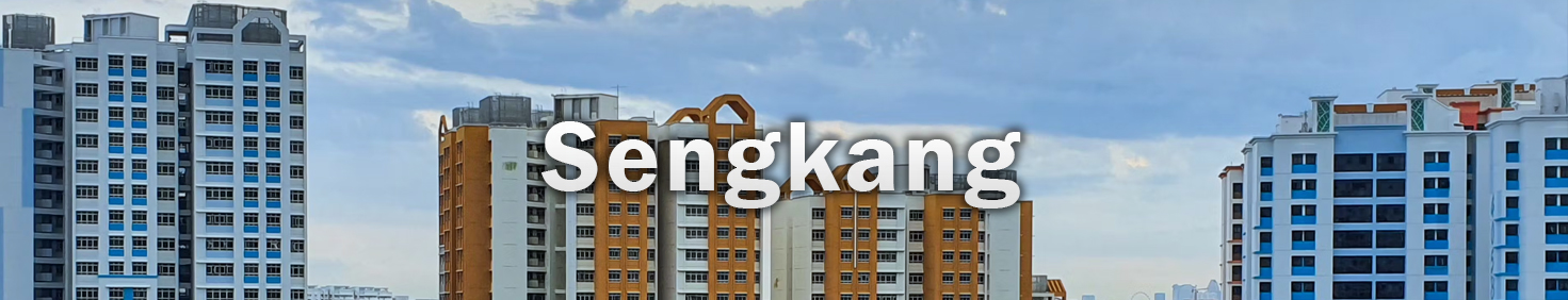 Water Heater Installation and Replacement and Repair Services at Sengkang