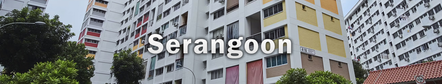 Water Heater Installation and Replacement and Repair Services at Serangoon