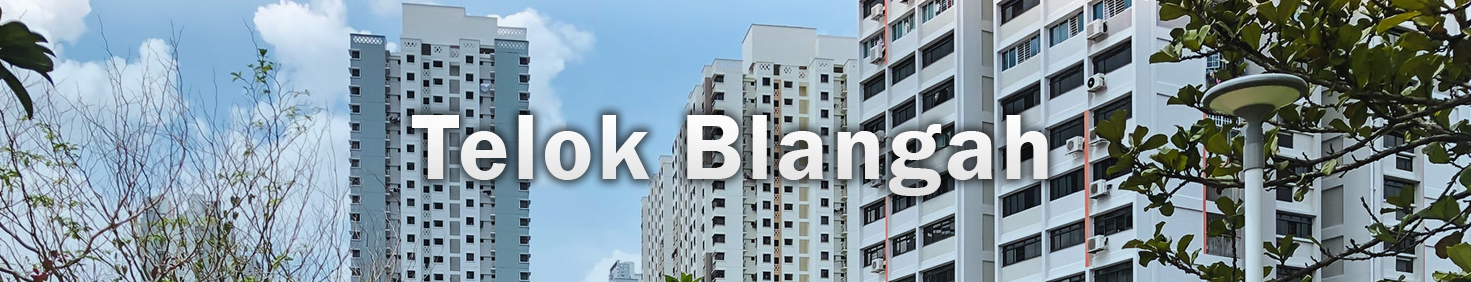 Water Heater Installation and Replacement and Repair Services at Telok Blangah