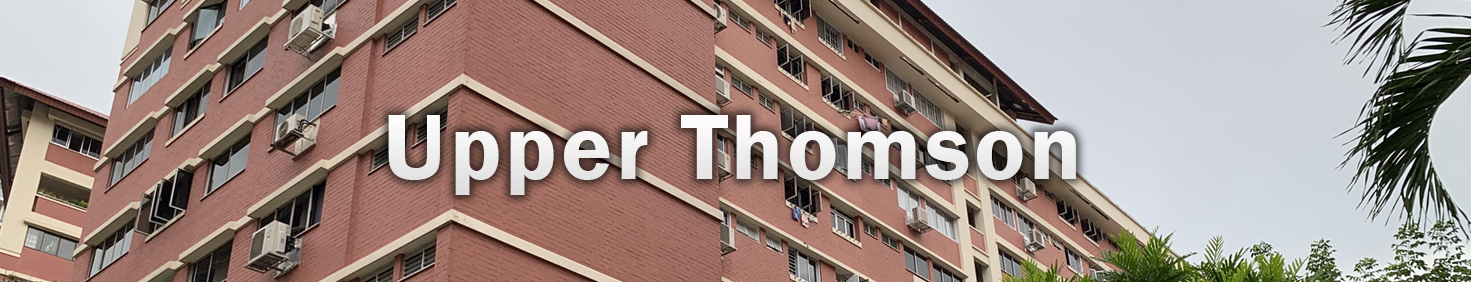 Water Heater Installation and Replacement and Repair Services in Upper Thomson